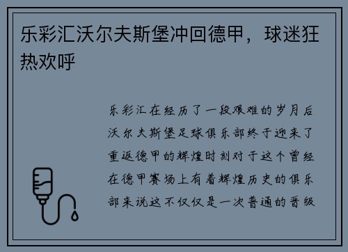 乐彩汇沃尔夫斯堡冲回德甲，球迷狂热欢呼