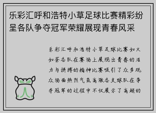 乐彩汇呼和浩特小草足球比赛精彩纷呈各队争夺冠军荣耀展现青春风采