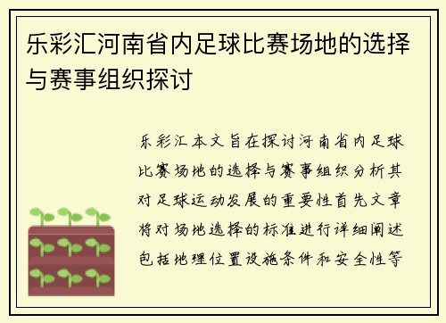 乐彩汇河南省内足球比赛场地的选择与赛事组织探讨